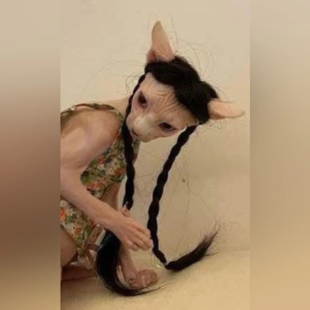 Cat costumes one with long braids No size and 2 lion size L NEW never worn